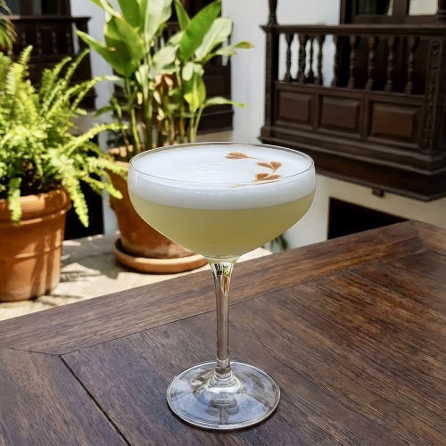 Pisco Sour cocktail with frothy egg white foam, garnished with Angostura bitters, in a glass.
